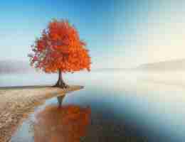 定‌制﻿渗‌透​测‌试‌脚‍本‌